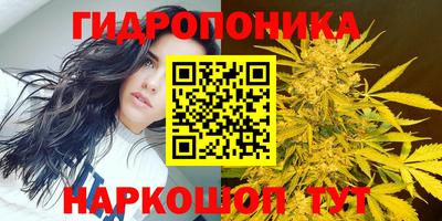 spice Волжск