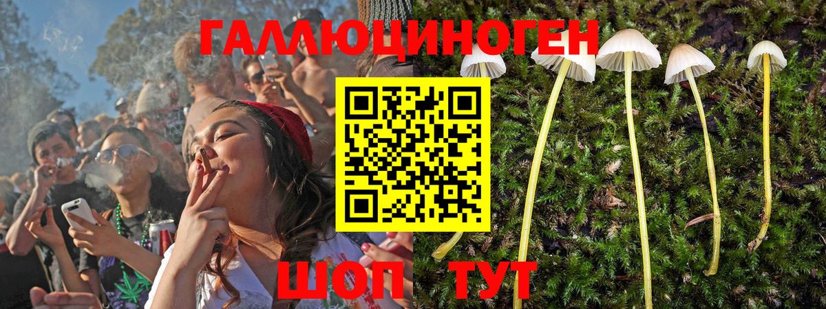 Псилоцибиновые грибы мухоморы  Вход с VPN  Жигулёвск  Псилоцибиновые грибы Cubensis 